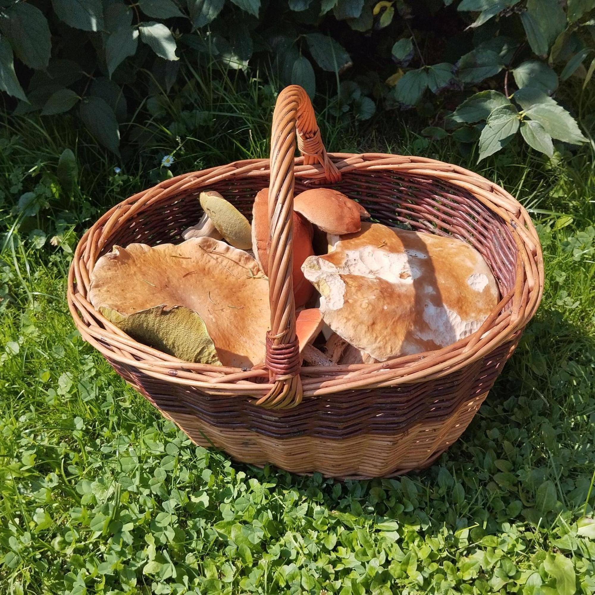 Agroturystyka Chata za wsią Uscie Gorlickie Zewnętrze zdjęcie